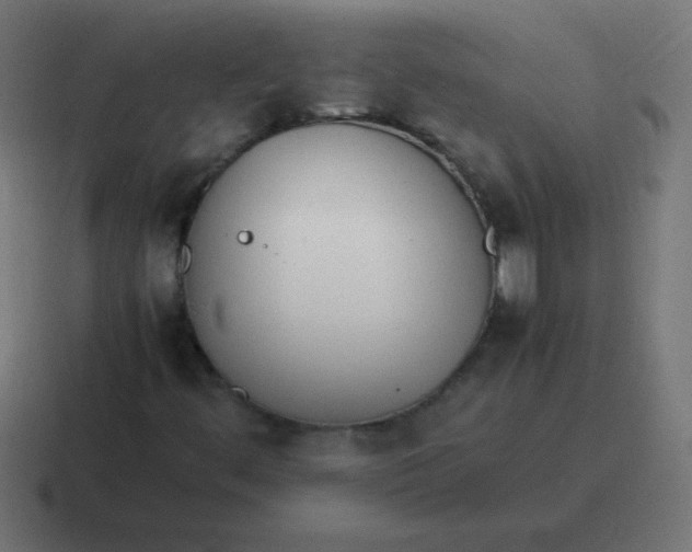 X0000116821444200912312006