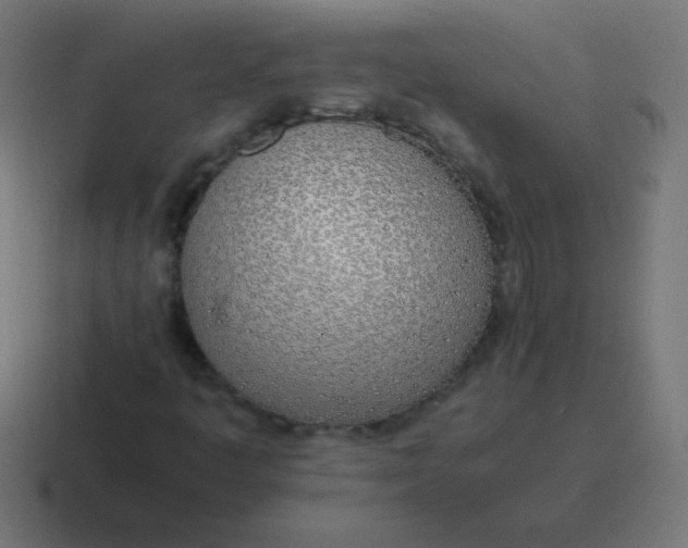 X0000116821445200912312006