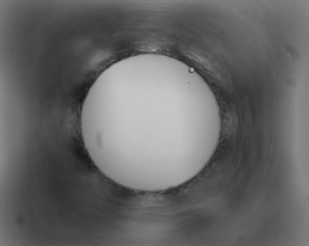 X0000116821446200912312006