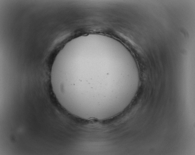 X0000116821447200912312006