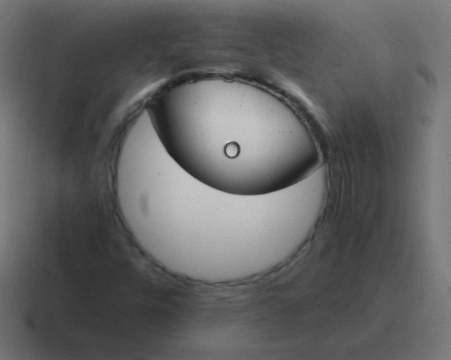 X0000116821448200912312006