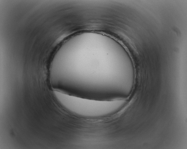 X0000116821449200912312006