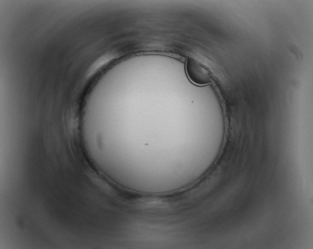 X0000116821450200912312006