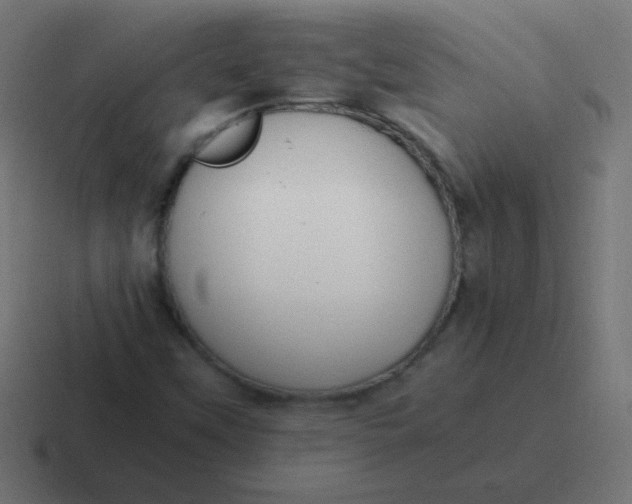 X0000116821451200912312006