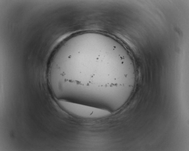 X0000116821452200912312006