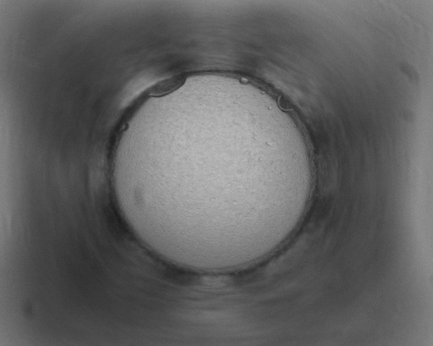 X0000116821453200912312006