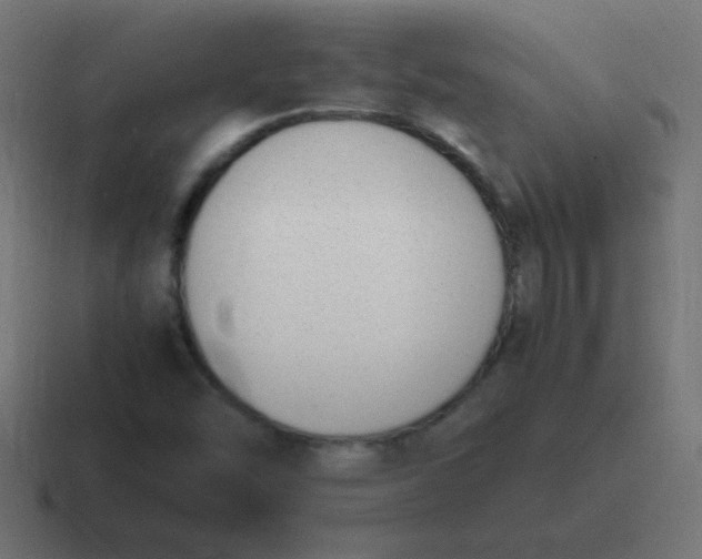 X0000116821454200912312006