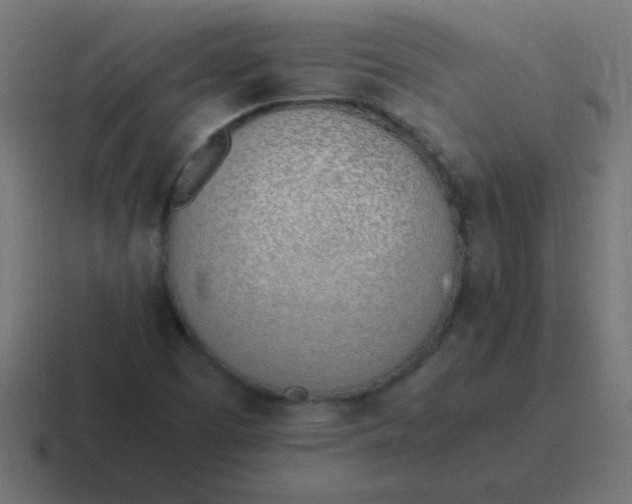 X0000116821457200912312006