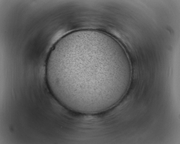 X0000116821459200912312006