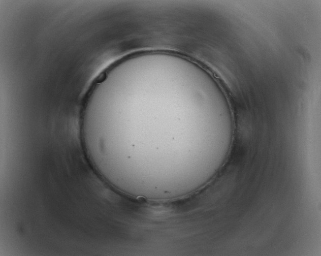 X0000116821460200912312006