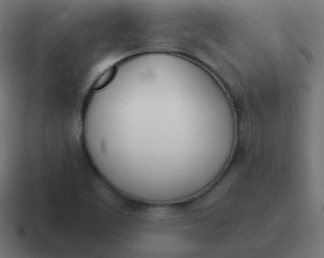 X0000116821461200912312006