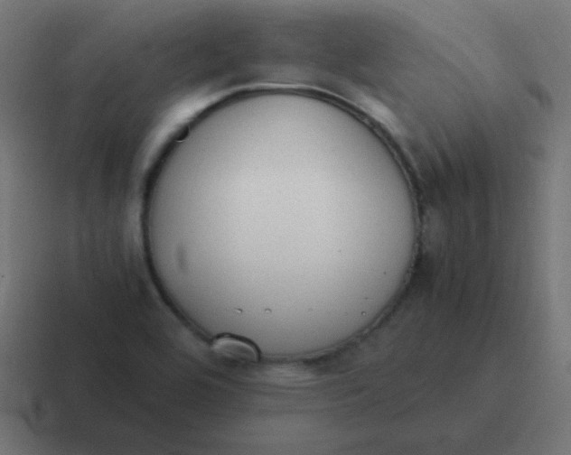 X0000116821464200912312006