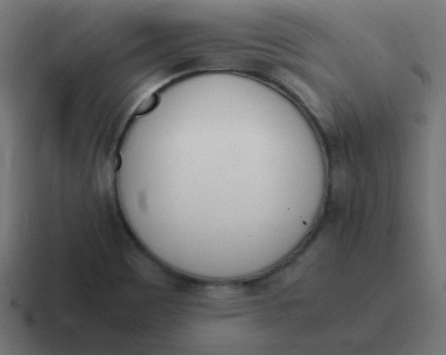 X0000116821465200912312006