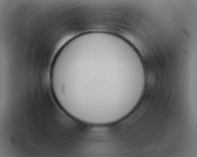 X0000116821466200912312006