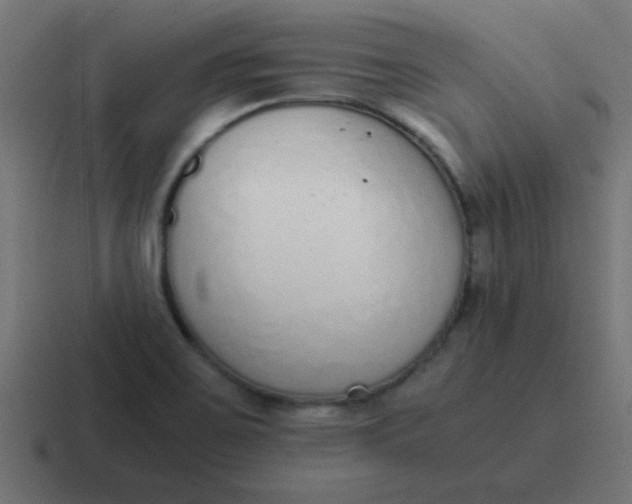 X0000116821467200912312006