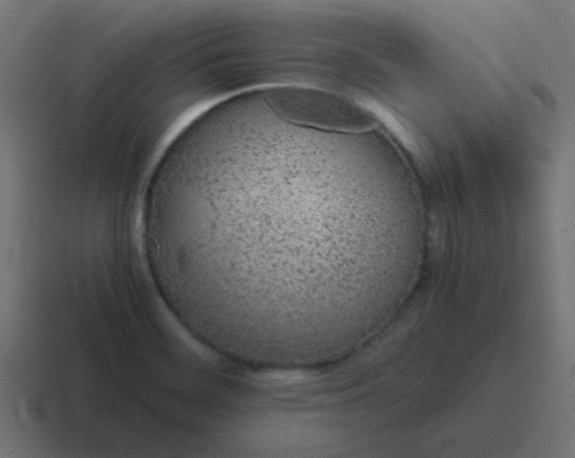 X0000116821468200912312006