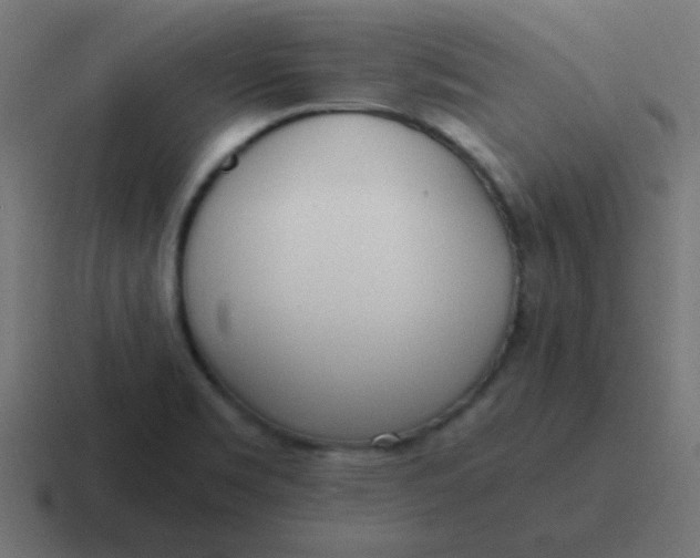 X0000116821469200912312006