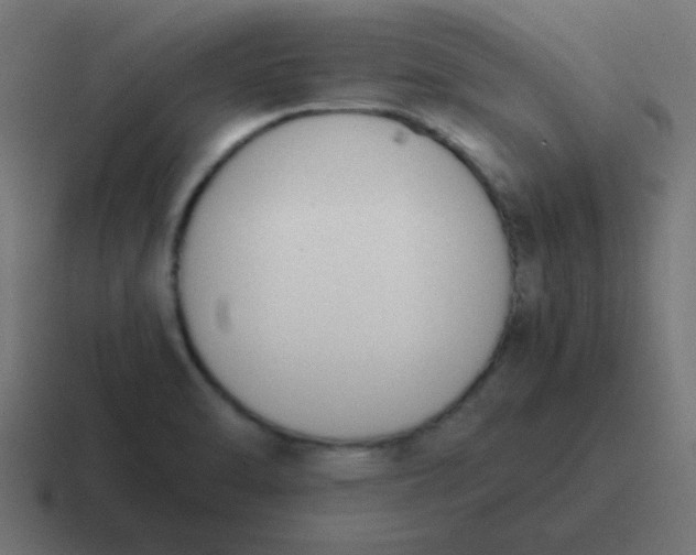 X0000116821470200912312006