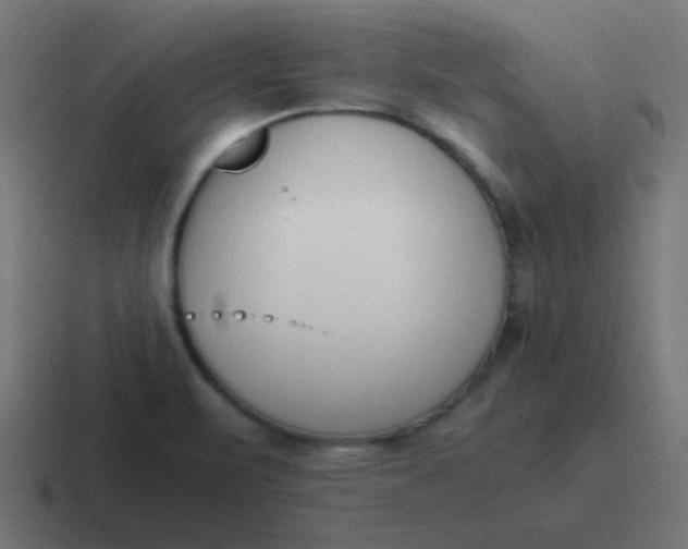 X0000116821471200912312006