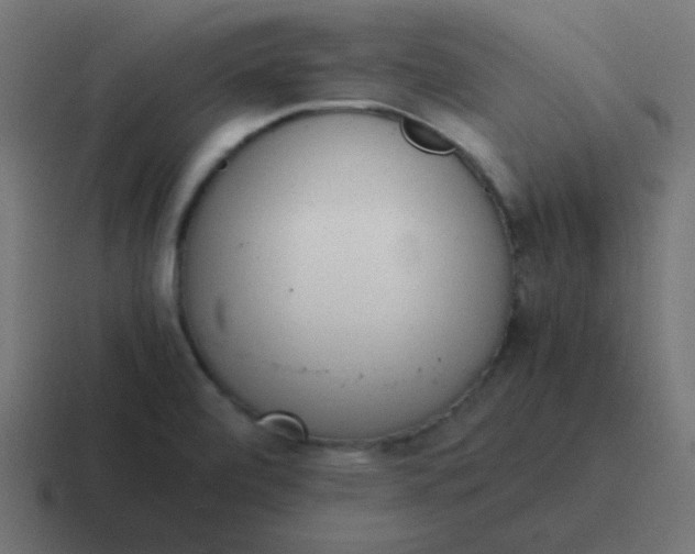 X0000116821472200912312006