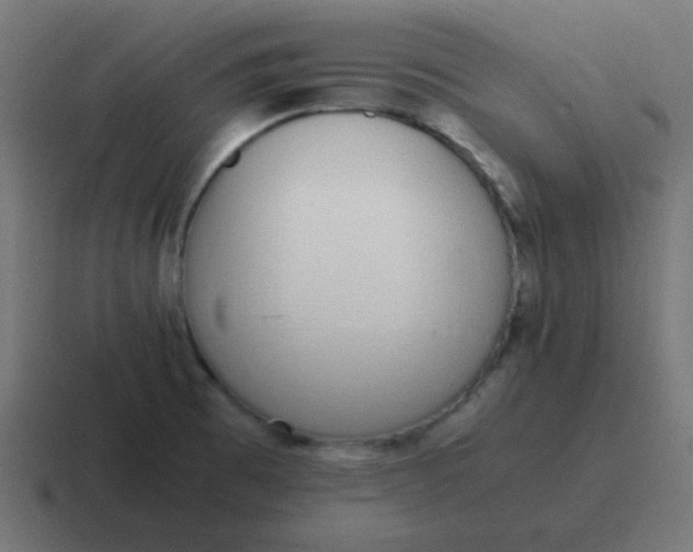 X0000116821473200912312006