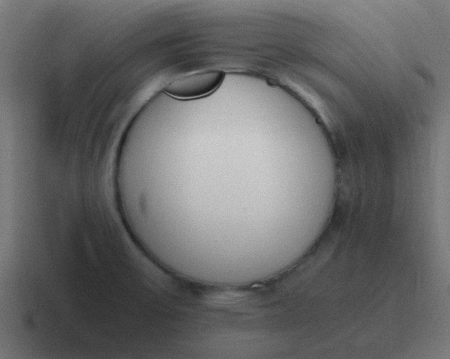 X0000116821475200912312006