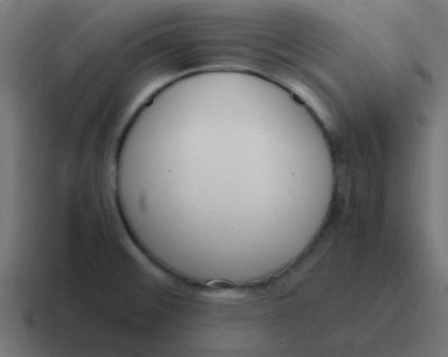 X0000116821476200912312006