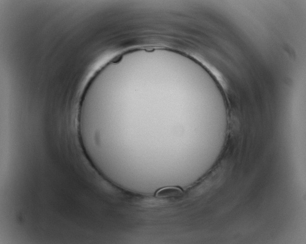 X0000116821477200912312006