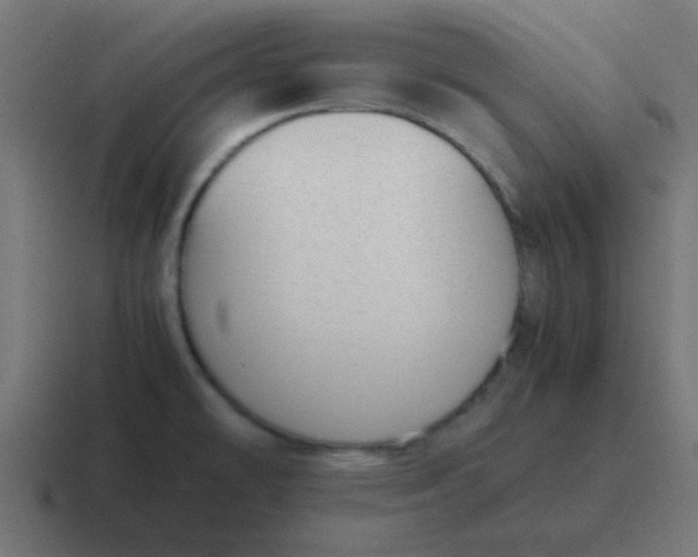 X0000116821478200912312006