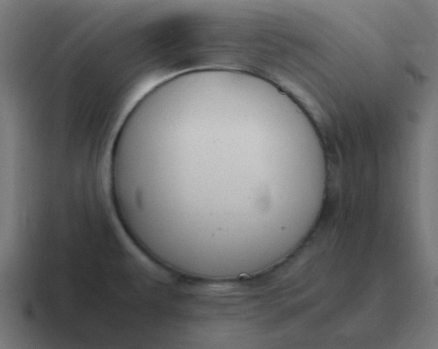 X0000116821479200912312006