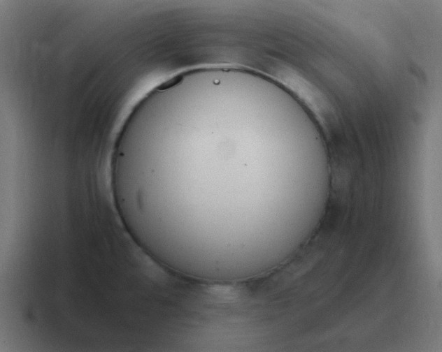 X0000116821480200912312006