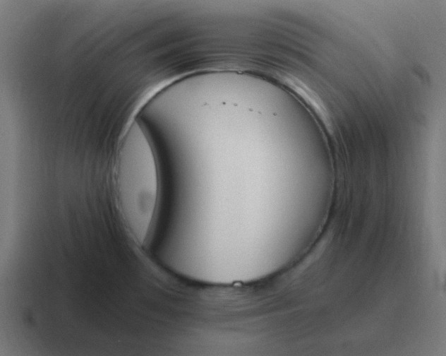 X0000116821481200912312006