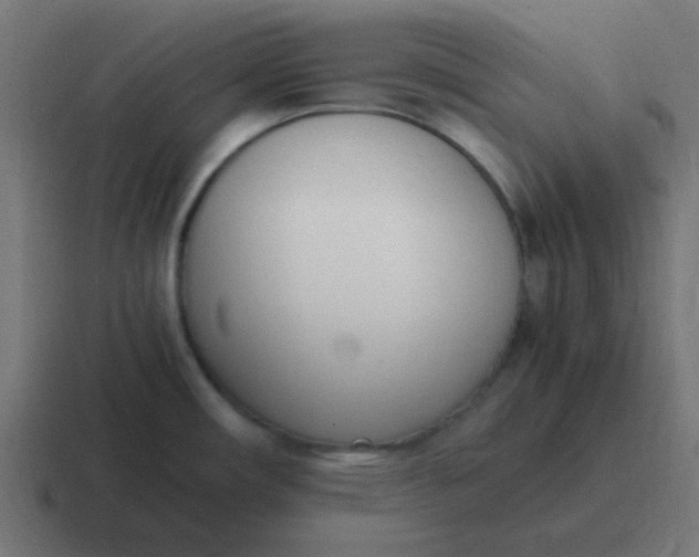 X0000116821482200912312006