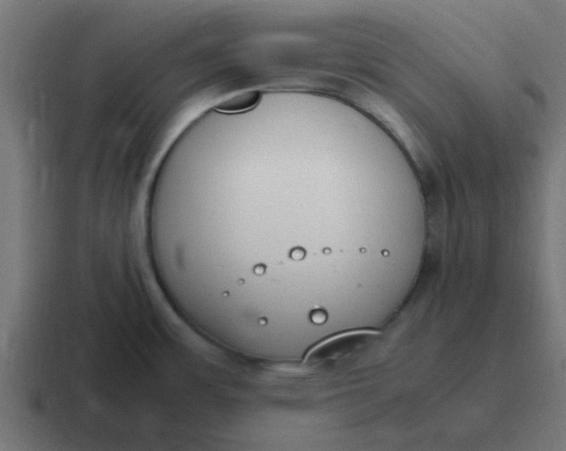 X0000116821483200912312006