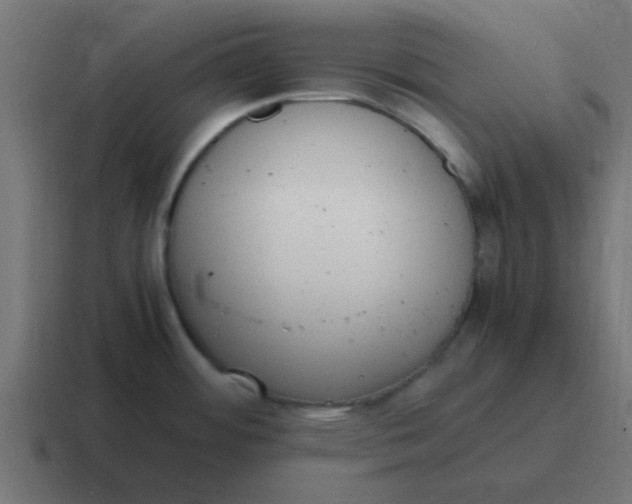 X0000116821484200912312006