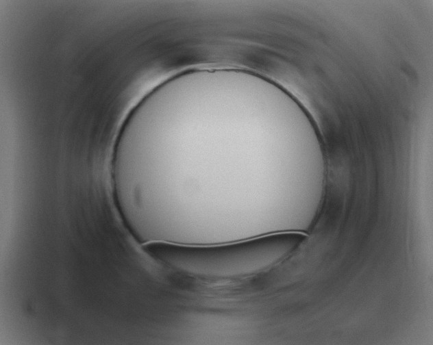 X0000116821485200912312006