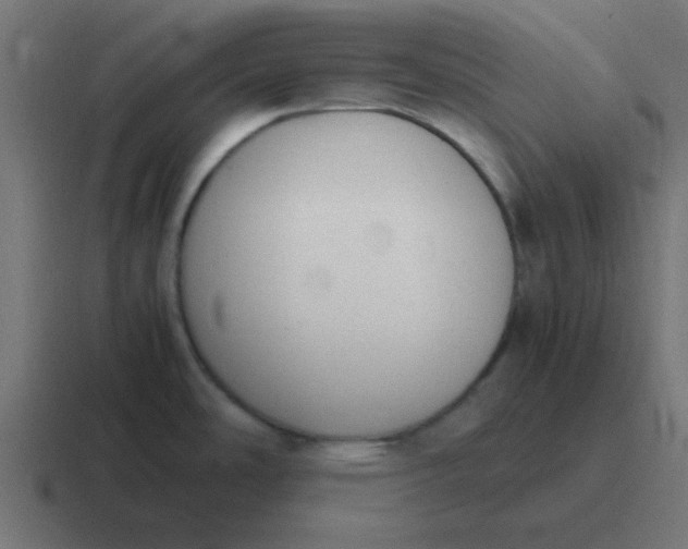 X0000116821486200912312006