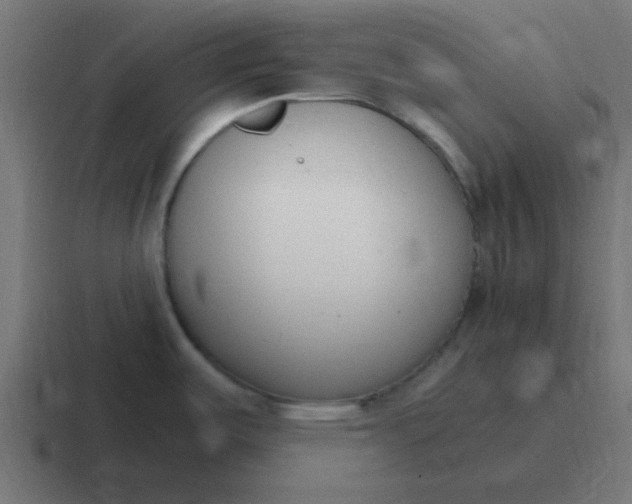 X0000116821487200912312006