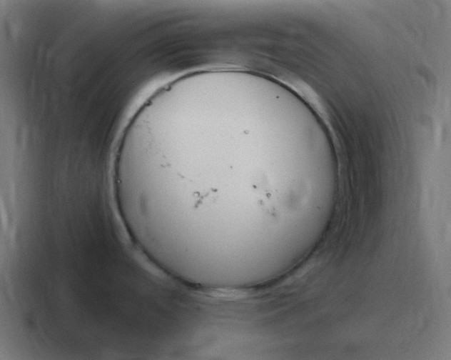 X0000116821488200912312006