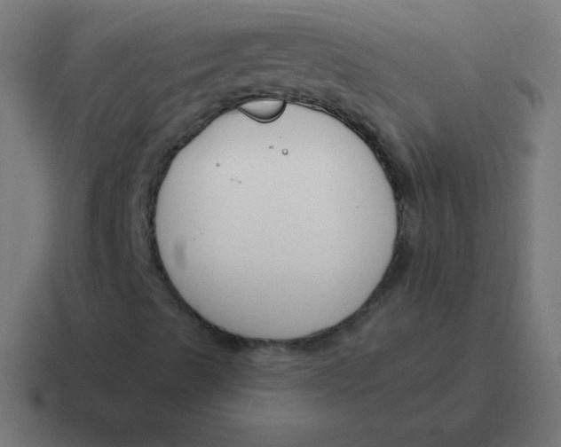 X0000116821489200912312005