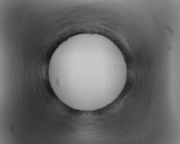 X0000116821490200912312005