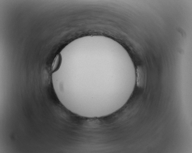 X0000116821491200912312005