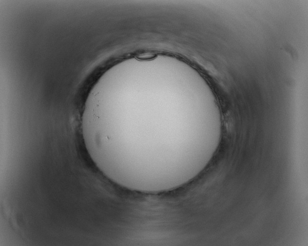 X0000116821495200912312005