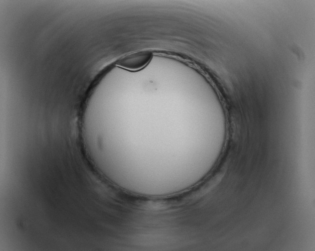 X0000116821497200912312005