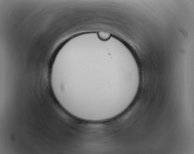 X0000116821498200912312005