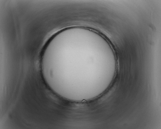 X0000116821501200912312005