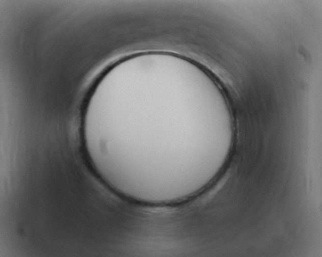 X0000116821502200912312005