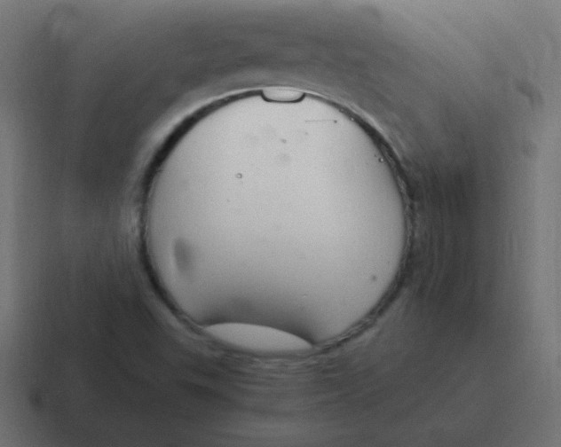 X0000116821503200912312005