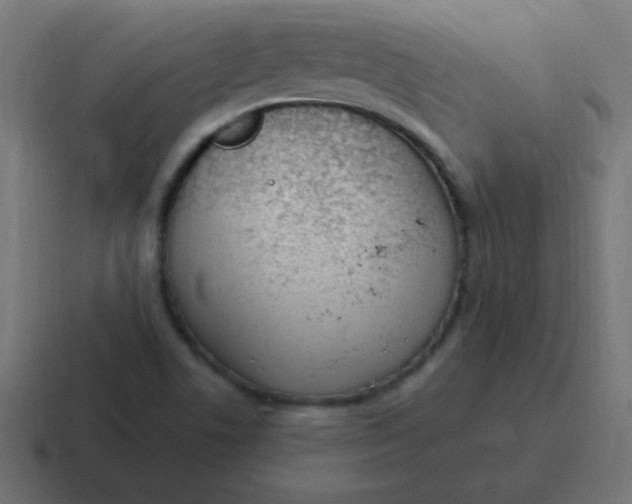 X0000116821506200912312005