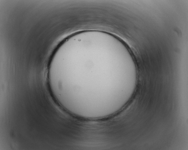 X0000116821507200912312005